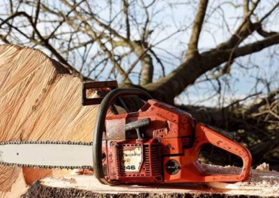 Image of Chainsaw
